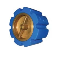 Cast Iron Silent Check Valve (Wafer Type) [CSCV-WB] 0609